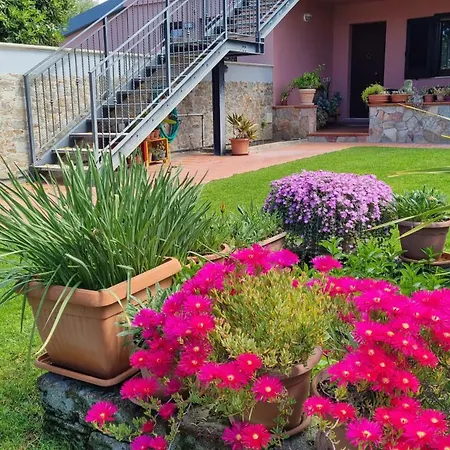 公寓 La Casa Delle Rose